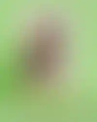 The Maestro Ilaiyaraja sketch art wall poster