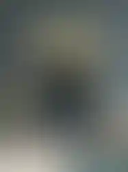 Nadodikkattu | Sreenivasan x Mohanlal | Movie poster