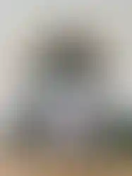 Captain Jack Sparrow | Pirates of the Caribbean | 3 Split Poster above a desk setup.