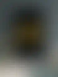 Life is Amazing When you are young | Motivational Poster