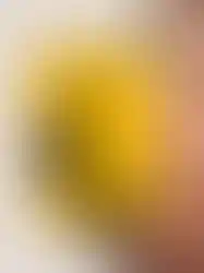 Wolf of Wall street | Minimalist Poster | Movie Poster