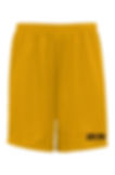 Thumbnail: Classic Mesh Shorts