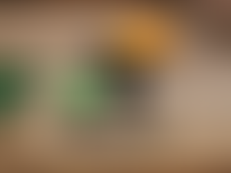 RAÍZES DO COMPROMISSO: O IPE DO IGUASSÚ E SUA MISSÃO AMBIENTAL