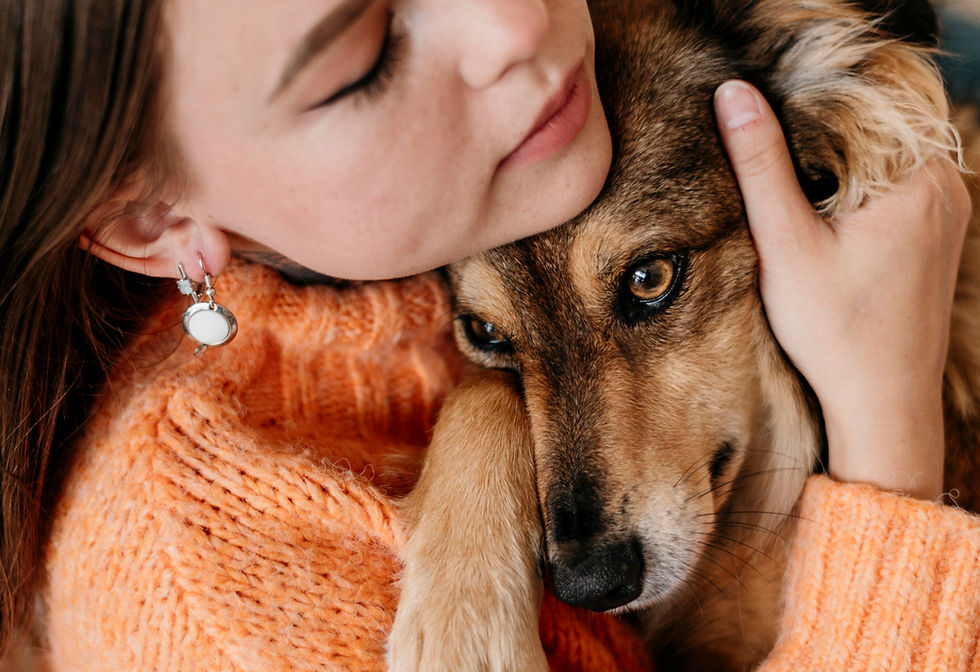 mulher acolhendo e protejendo um cão no colo com muito amor