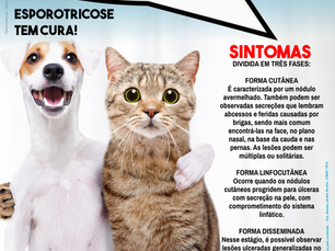 CAMPANHA SOBRE ESPOROTRICOSE, PARTICIPE!