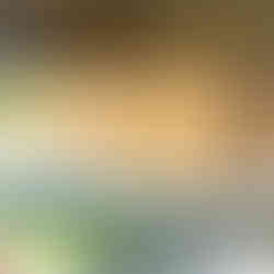 Κοινωνικό Παντοπωλείο Μαραθώνα