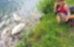 IMG-20200913-WA0014.jpg