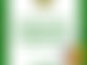 Proses pemupukan sawit di kebun untuk hasil tandan buah segar optimal