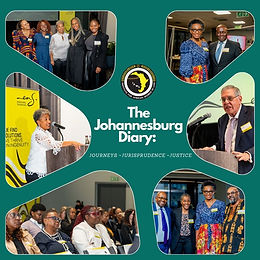 The Johannesburg Diary