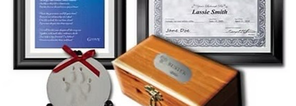 Cremation