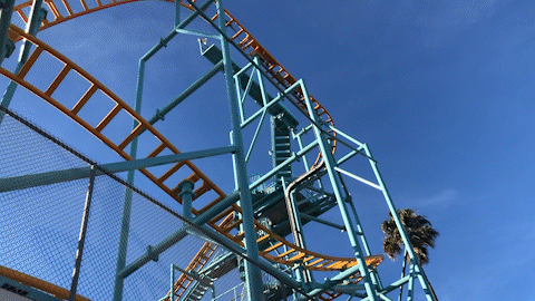 IMG_4674_MOV_AdobeExpress.gif