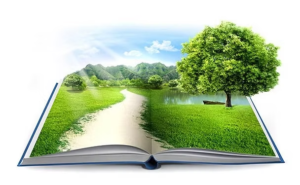 Serenity and Tranquillity