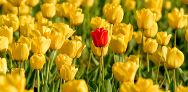 It is the Quality of your Relationship with God, that will Enable you to feel Special!