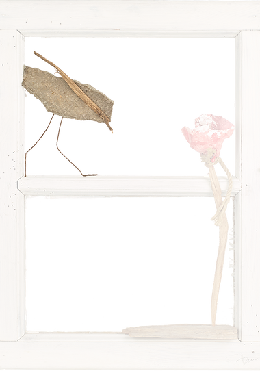 Fran_02.png