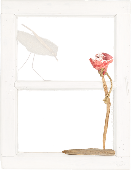 Fran_03.png