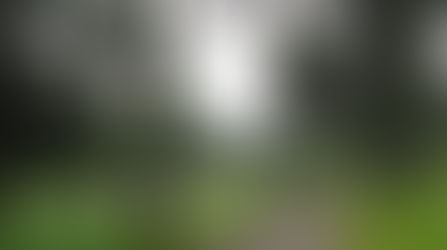 Saujana GCC – Palm (Cobra)