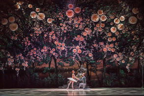 Une Belle pas assez époussetée !