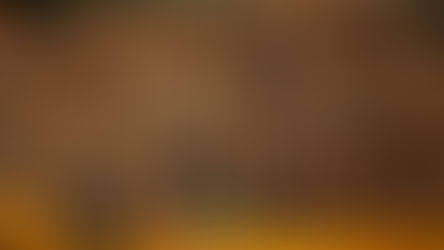 Exportações de celulose crescem 11,5% em 2018, diz Ibá