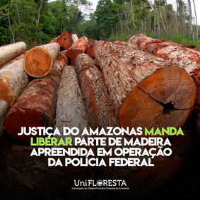 Juíza manda PF devolver madeira apreendida na divisa do Amazonas com o Pará.
