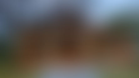 Terraço Amazônia FNBF e CIPEM’ atraiu os olhares de mais de 27 mil pessoas