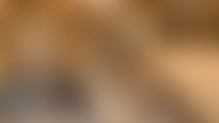 Brasil se prepara para ter norma técnica para sistema construtivo com madeira