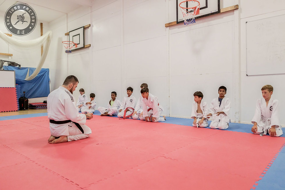judo factory lesson