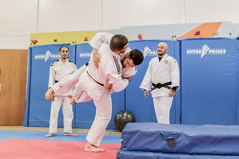 adults practising judo