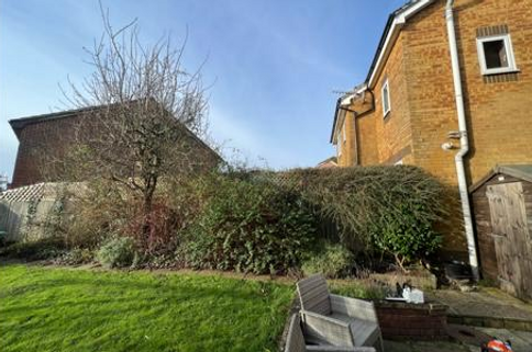 Neatly trimmed back hedgerow in a customers garden