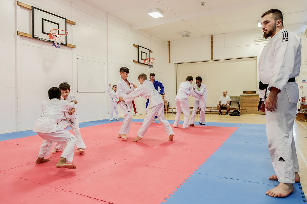 Judo Factory lesson