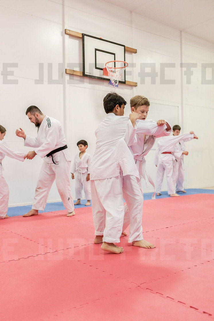 Judo Factory class
