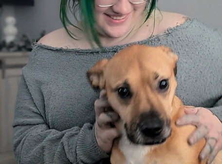 pet sitter new albany.jpg