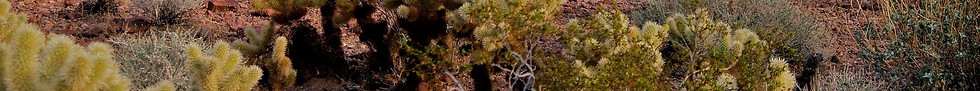 danjocross-desert-952519_1920.jpg