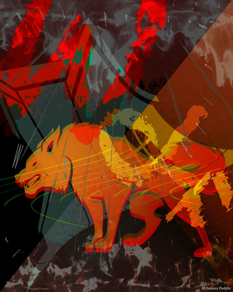 a church, wolf, whispering wolf, enemy inside the church, corrupt, systems of oppression, abuse, systemic abuse, the church, christianity, red flags, house, family, power, no accountability
