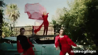 Padam.gif