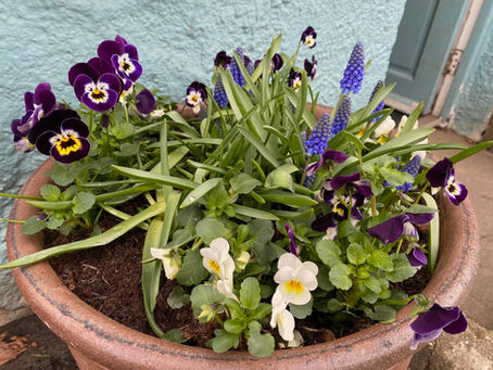Spring has arrived!