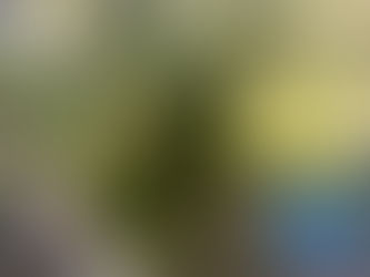 The Givers Leave Quietly