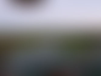 Reducing layouts for a few weeks; two each way picks in Mexico