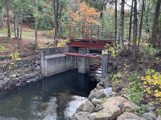 Ficher Dam in a forest setting, featurung a concret and steel structure regulating the flow of a watercourse