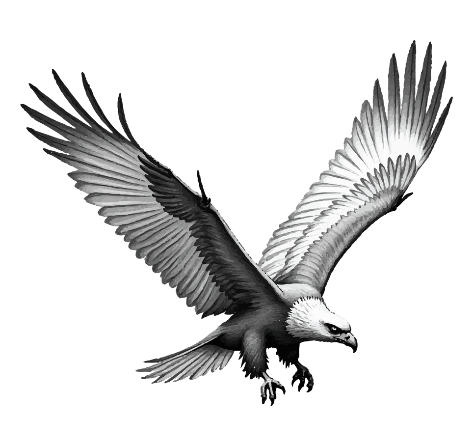 Eagle_Sketch_edited.png