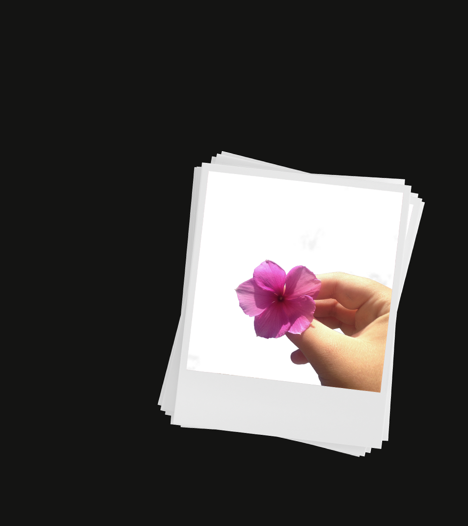 Polaroid-style photo of a person holding a flower. Credit: MockupFree.co