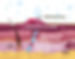 how_formation_001_short.jpg