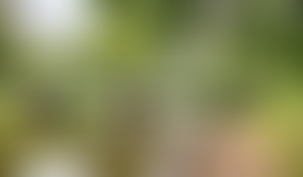 County Officials to Take a Serious Look at the Griggstown Causeway and Its Quaint One-Lane Truss Bridge