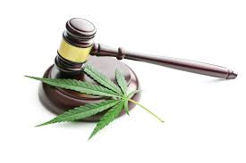 Monty Twp to Opt Out of Cannabis Business, for Now