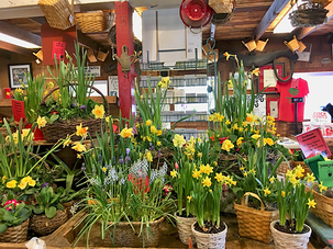 Skip the Supermarket Lines and Support Local Farms