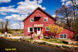 Bridgepoint Historic District Homes for Sale