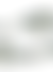 America’s Founding Fish to Hopefully Return to the Millstone River Bordering Montgomery, Rocky Hill, and Princeton