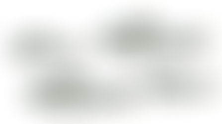 America’s Founding Fish to Hopefully Return to the Millstone River Bordering Montgomery, Rocky Hill, and Princeton