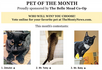 Vote for the July Pet of the Month