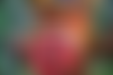 Announcing the First Annual "Images of Historic Montgomery Township" Photo Contest