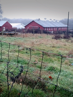 Montgomery Emphasizes that 80% of a 400-acre Farmland Tract Owned by the State of NJ Would Remain Open Space, Under the Township's Draft Plan to Acquire the Land